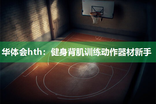 华体会hth：健身背肌训练动作器材新手